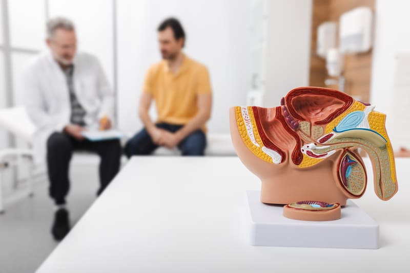 mulaj anatomic si medic explica despre cancer de prostata